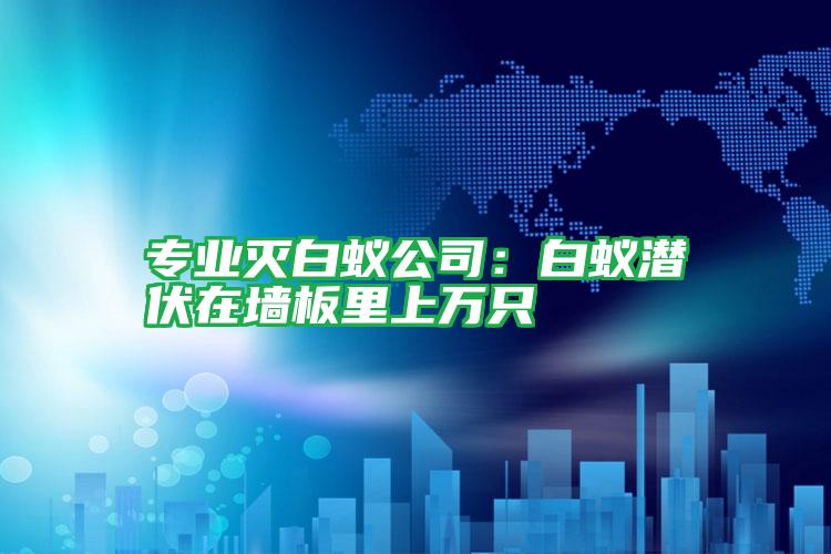 專業(yè)滅白蟻公司:白蟻潛伏在墻板里上萬只