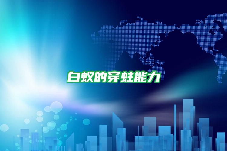 白蟻的穿蛀能力