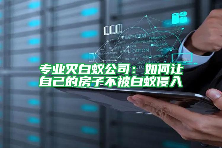 專業(yè)滅白蟻公司:如何讓自己的房子不被白蟻侵入