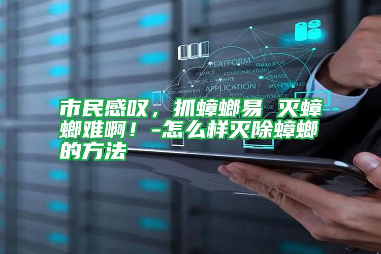 市民感嘆,抓蟑螂易 滅蟑螂難??!-怎么樣滅除蟑螂的方法