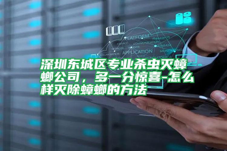 深圳東城區(qū)專業(yè)殺蟲滅蟑螂公司,多一分驚喜-怎么樣滅除蟑螂的方法