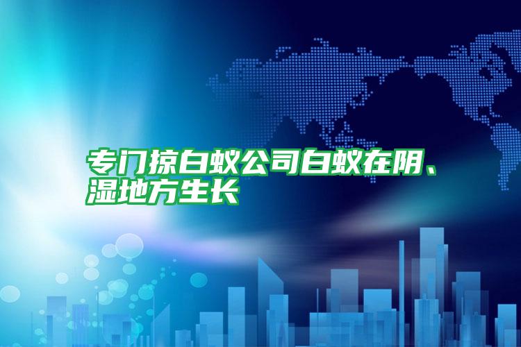 專門掠白蟻公司白蟻在陰、濕地方生長