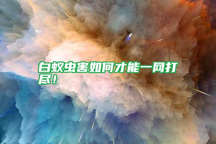 白蟻蟲害如何才能一網(wǎng)打盡!
