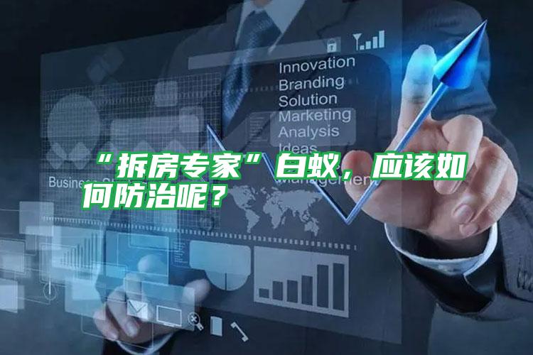 “拆房專家”白蟻，應(yīng)該如何防治呢？