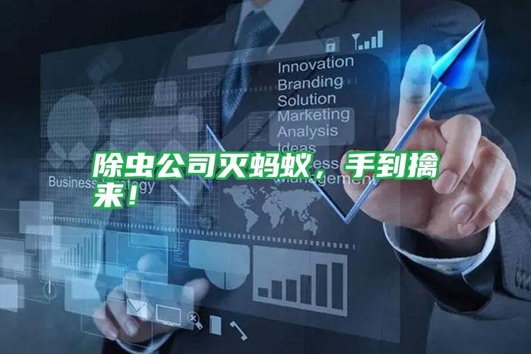 除蟲(chóng)公司滅螞蟻，手到擒來(lái)！