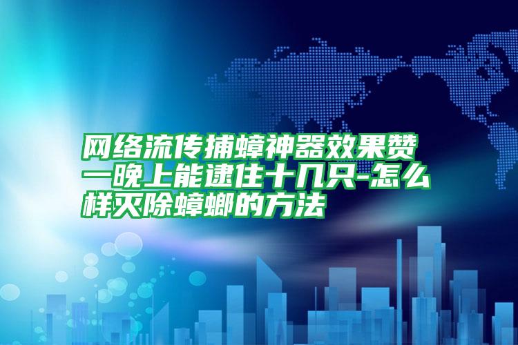 網(wǎng)絡(luò)流傳捕蟑神器效果贊 一晚上能逮住十幾只-怎么樣滅除蟑螂的方法