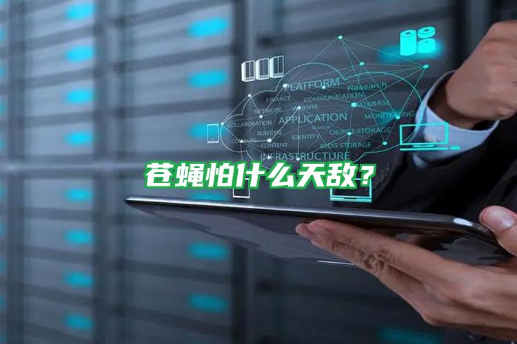 蒼蠅怕什么天敵?