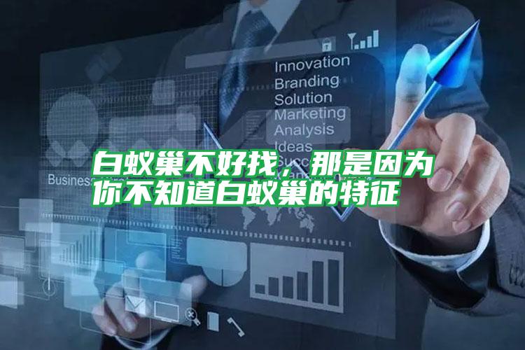 白蟻巢不好找，那是因?yàn)槟悴恢腊紫伋驳奶卣?/></p>
					 <p style=