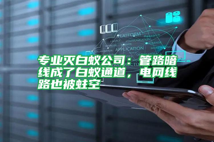 專業(yè)滅白蟻公司:管路暗線成了白蟻通道,電網(wǎng)線路也被蛀空