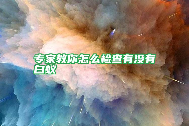 專家教你怎么檢查有沒有白蟻