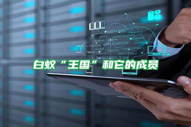 白蟻“王國”和它的成員