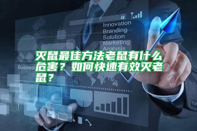 滅鼠最佳方法老鼠有什么危害?如何快速有效滅老鼠?