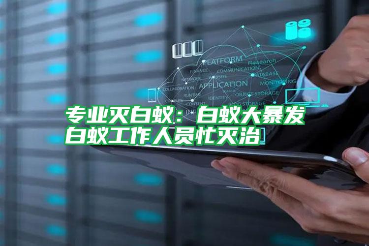 專業(yè)滅白蟻:白蟻大暴發(fā)白蟻工作人員忙滅治