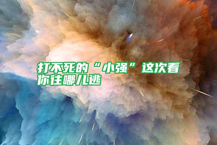 打不死的“小強(qiáng)”這次看你往哪兒逃