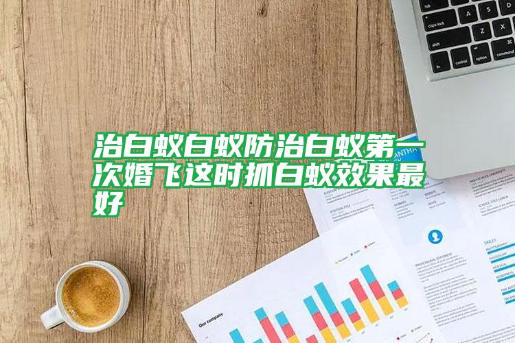 治白蟻白蟻防治白蟻第一次婚飛這時(shí)抓白蟻效果最好
