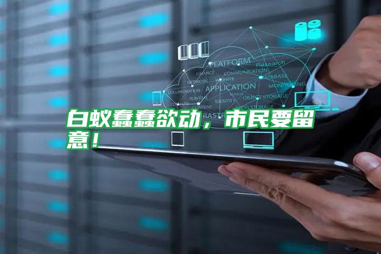 白蟻蠢蠢欲動,市民要留意!