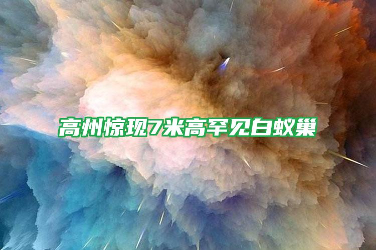 高州驚現(xiàn)7米高罕見白蟻巢