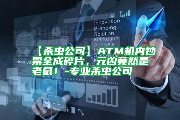 【殺蟲公司】ATM機內(nèi)鈔票全成碎片,元兇竟然是老鼠!-專業(yè)殺蟲公司