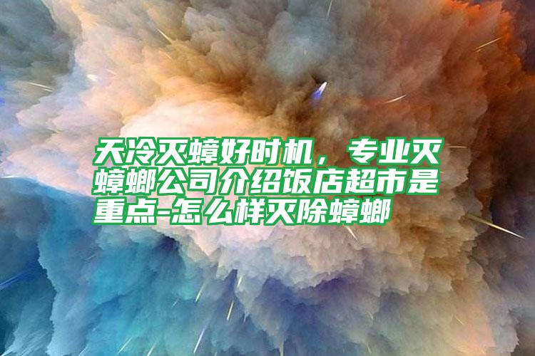 天冷滅蟑好時機,專業(yè)滅蟑螂公司介紹飯店超市是重點-怎么樣滅除蟑螂