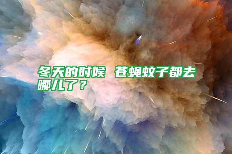 冬天的時(shí)候 蒼蠅蚊子都去哪兒了?
