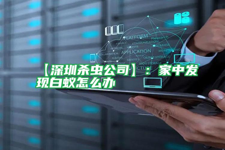 【深圳殺蟲公司】:家中發(fā)現(xiàn)白蟻怎么辦