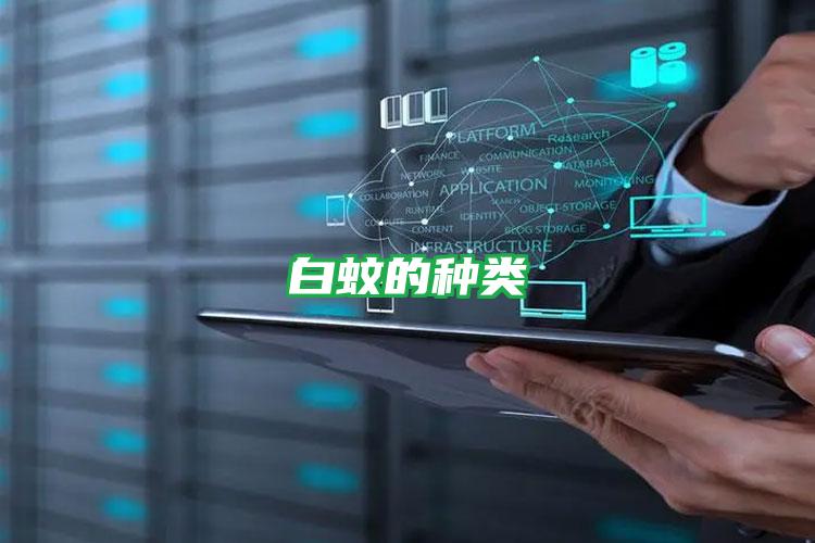 白蚊的種類(lèi)