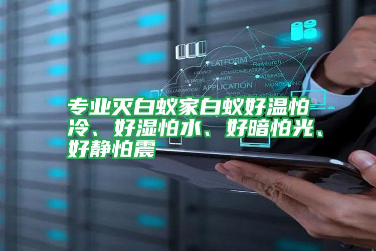 專業(yè)滅白蟻家白蟻好溫怕冷、好濕怕水、好暗怕光、好靜怕震