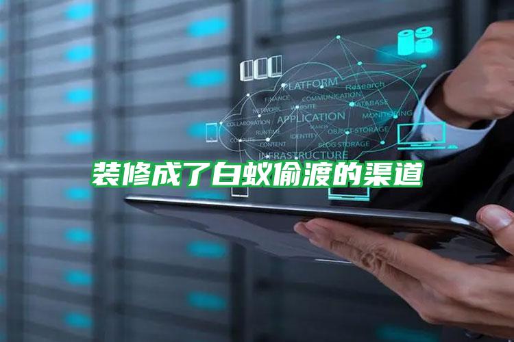 裝修成了白蟻偷渡的渠道