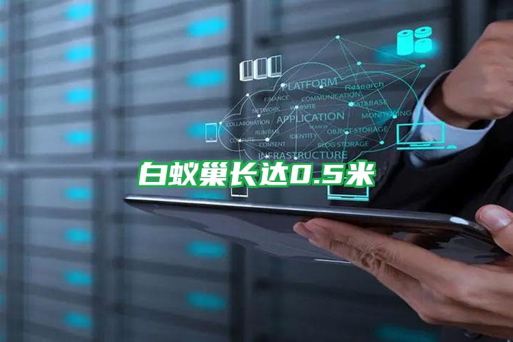 白蟻巢長達(dá)0.5米