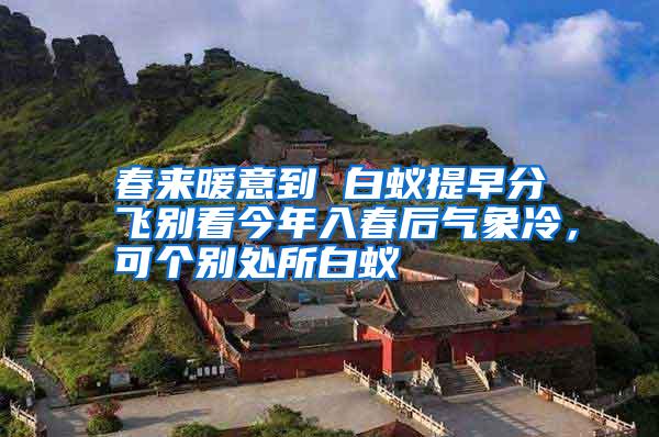 春來暖意到 白蟻提早分飛別看今年入春后氣象冷,可個(gè)別處所白蟻