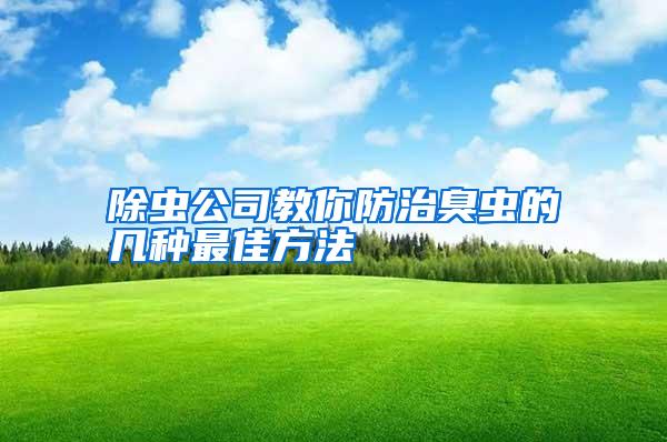 除蟲公司教你防治臭蟲的幾種最佳方法