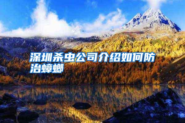 深圳殺蟲公司介紹如何防治蟑螂