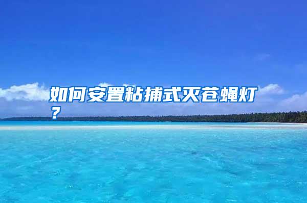 如何安置粘捕式滅蒼蠅燈?