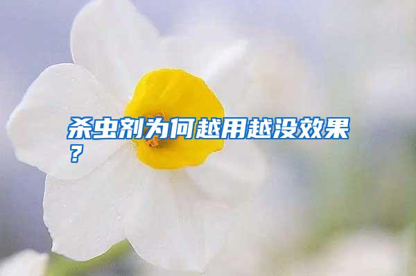 殺蟲劑為何越用越?jīng)]效果？