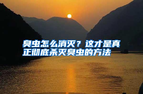 臭蟲怎么消滅?這才是真正徹底殺滅臭蟲的方法