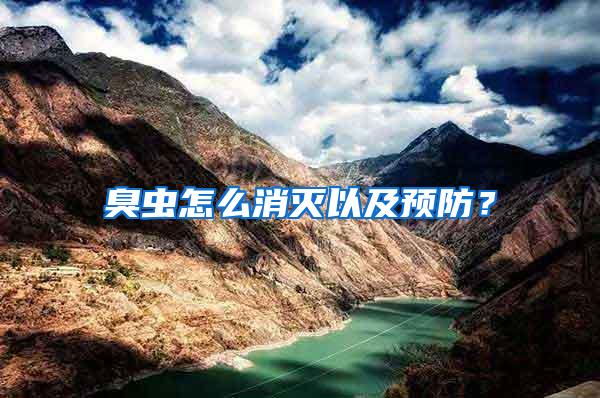 臭蟲怎么消滅以及預(yù)防?
