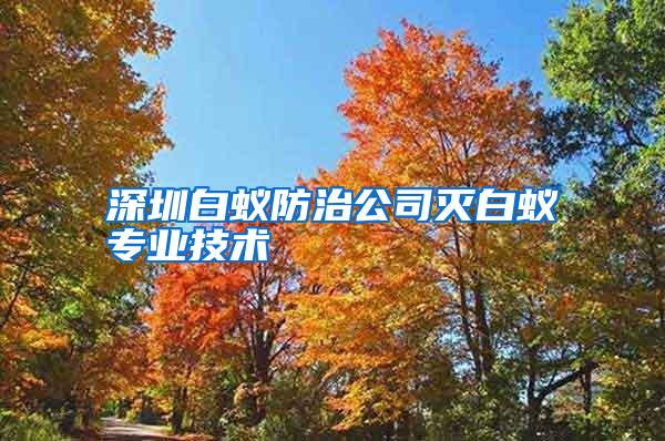 深圳白蟻防治公司滅白蟻專(zhuān)業(yè)技術(shù)