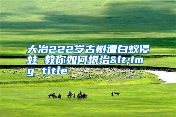 大冶222歲古樹遭白蟻侵蛀 教你如何根治<img title