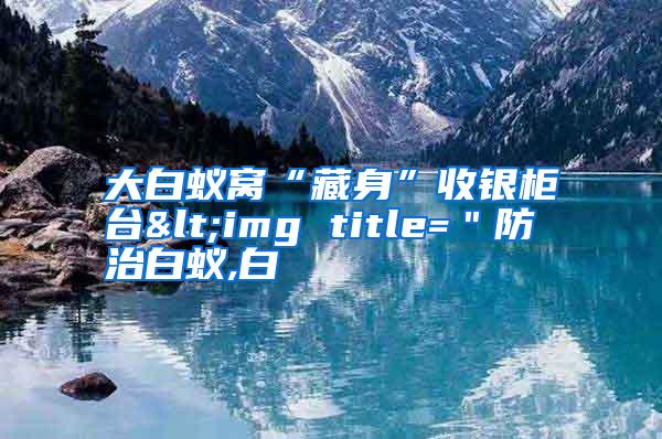 大白蟻窩“藏身”收銀柜臺<img title="防治白蟻,白