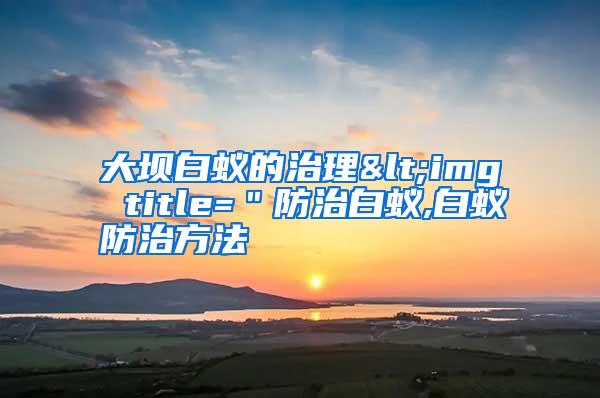 大壩白蟻的治理<img title="防治白蟻,白蟻防治方法