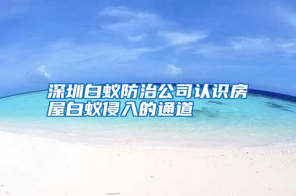 深圳白蟻防治公司認識房屋白蟻侵入的通道