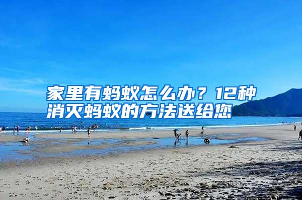 家里有螞蟻怎么辦?12種消滅螞蟻的方法送給您