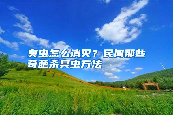 臭蟲怎么消滅?民間那些奇葩殺臭蟲方法