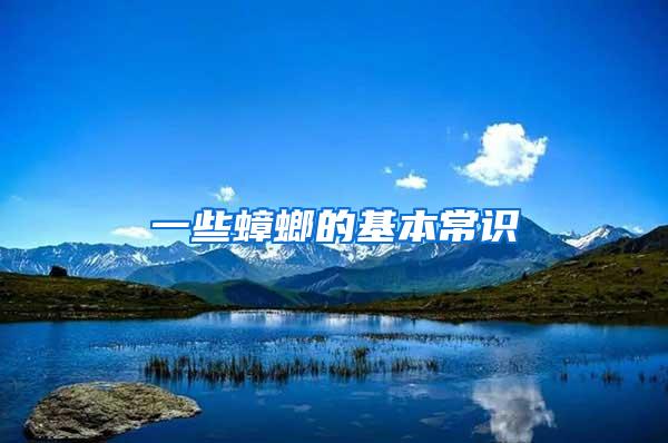 一些蟑螂的基本常識(shí)