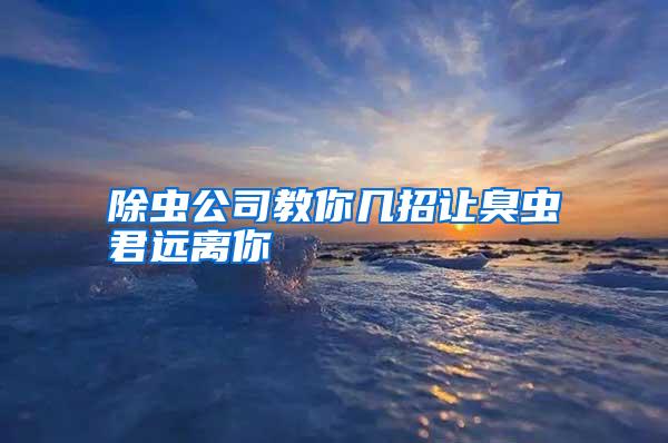 除蟲公司教你幾招讓臭蟲君遠(yuǎn)離你