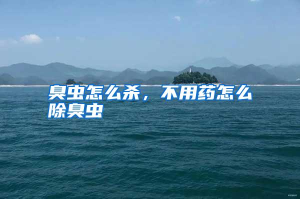臭蟲(chóng)怎么殺,不用藥怎么除臭蟲(chóng)