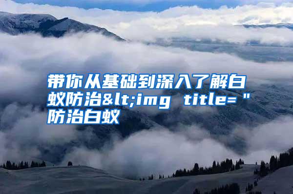 帶你從基礎(chǔ)到深入了解白蟻防治<img title="防治白蟻