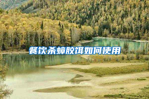 餐飲殺蟑膠餌如何使用
