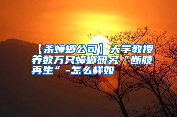 【殺蟑螂公司】大學教授養(yǎng)數(shù)萬只蟑螂研究“斷肢再生”-怎么樣如