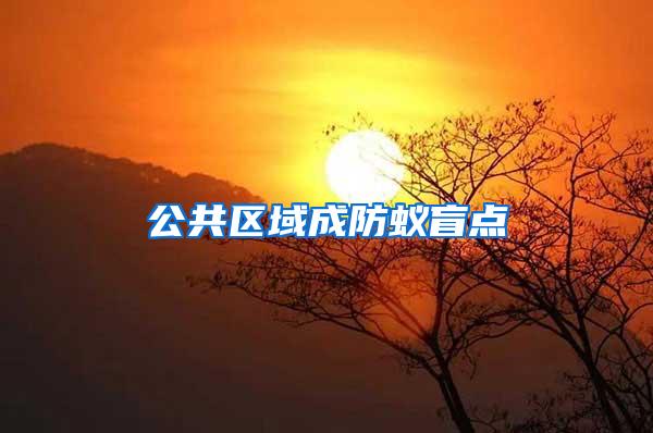 公共區(qū)域成防蟻盲點(diǎn)